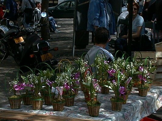 Baskets of Muget (Lillys of the valley) for sale on May Day in Paris